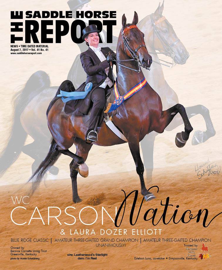 Published Covers | 20663684_1426702590740453_641816122660480034_n.jpg