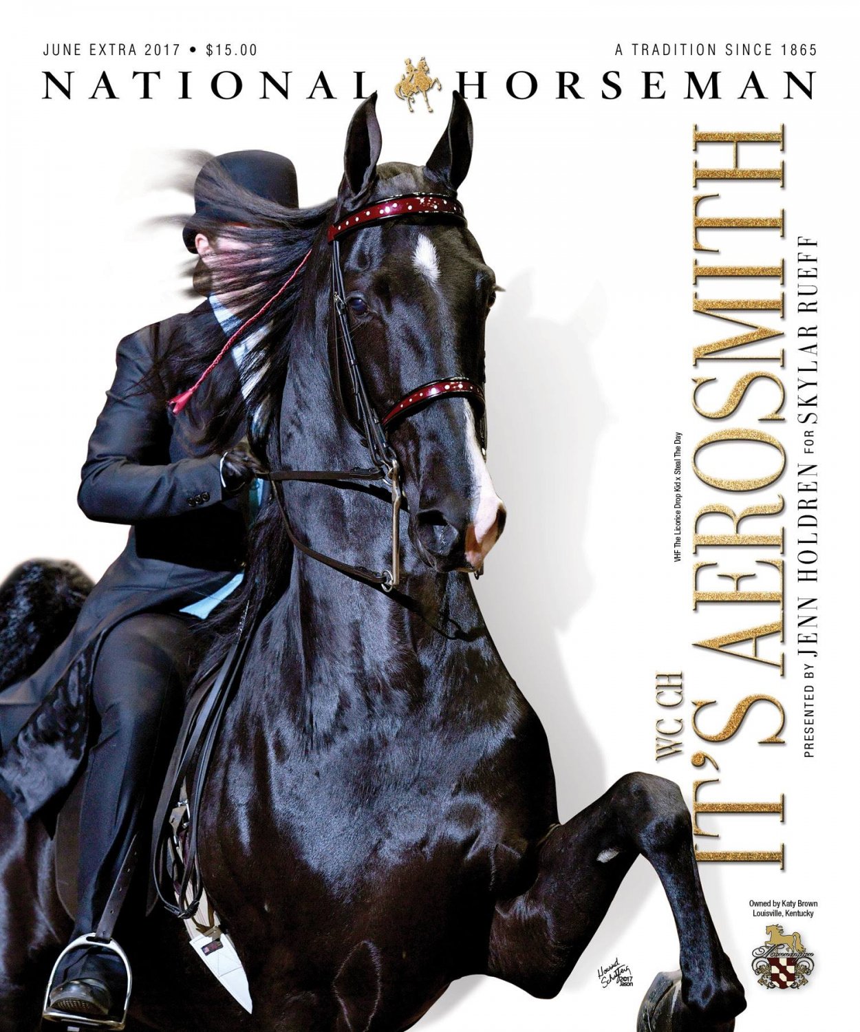 Published Covers | 18891883_1415778411869313_1671643965944649254_o.jpg