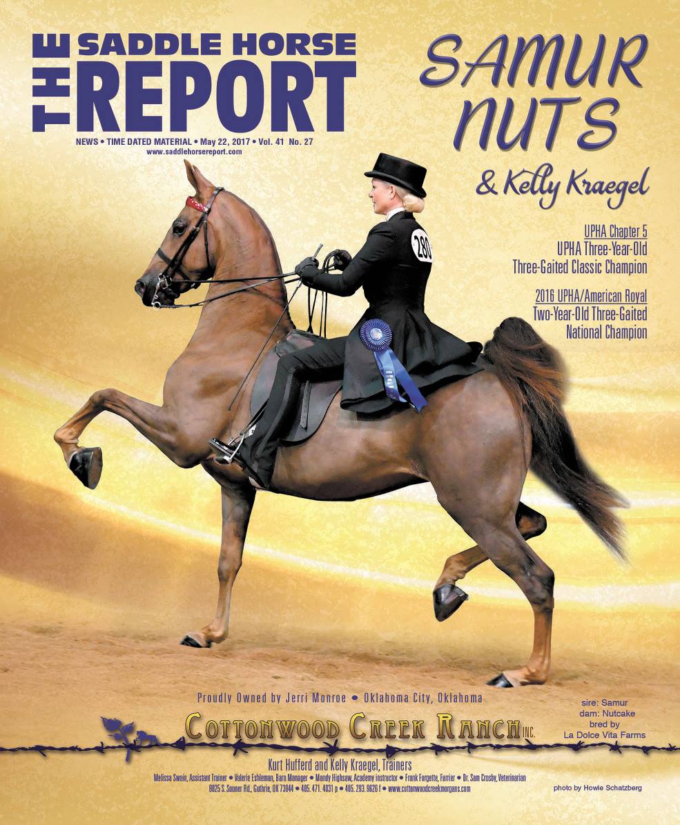Published Covers | 18623247_1347116315365748_2651066149790724528_o.jpg