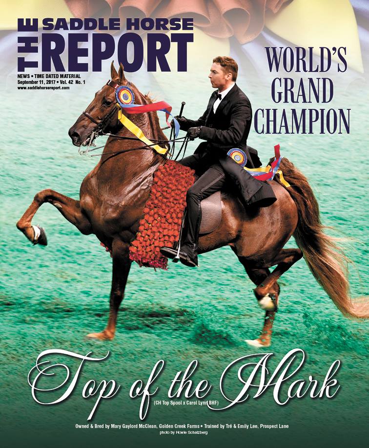 Published Covers | 21314519_1452394121504633_8696161950944893146_n.jpg