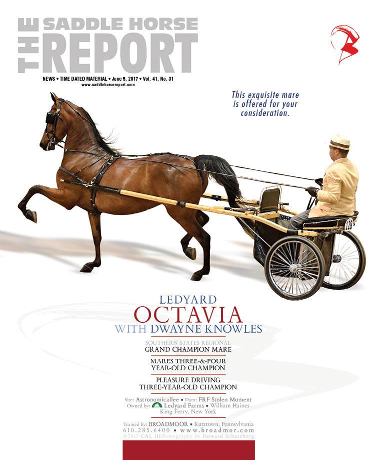 Published Covers | 18893195_1363485297062183_4504298995981418255_n.jpg
