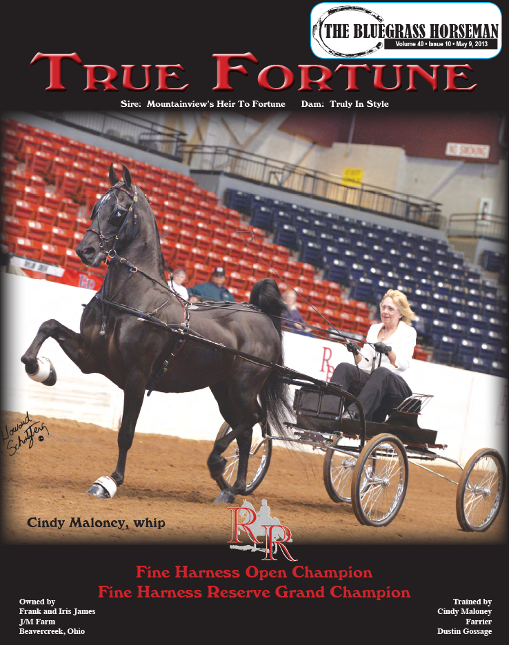 Published Covers | MAY_2013.png