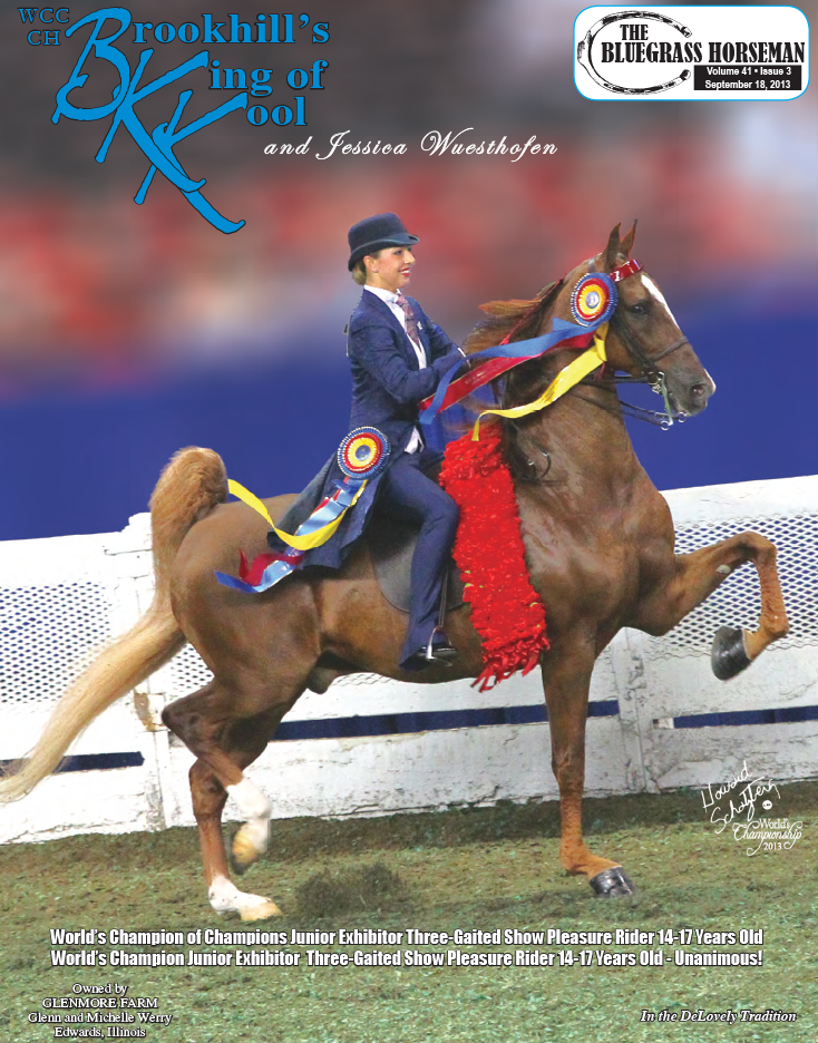 Published Covers | SEPT_2013.png