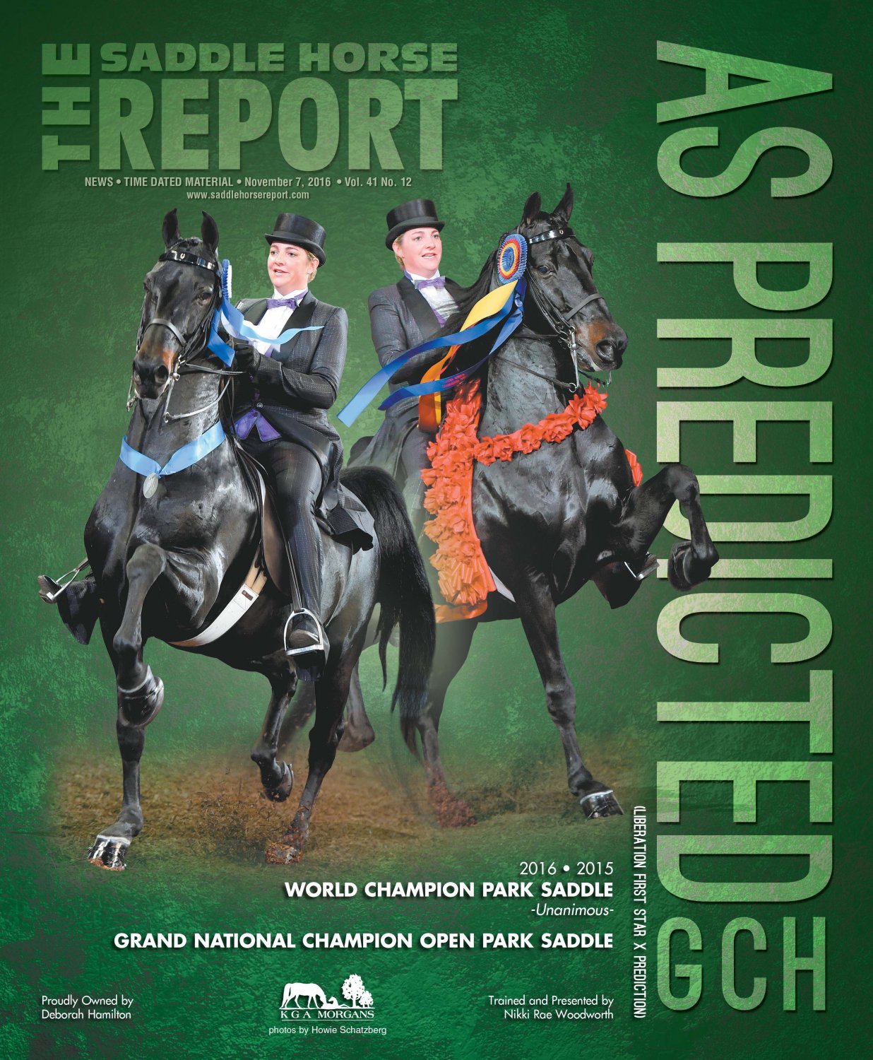 Published Covers | SHR_11_07_16_MORGAN.jpg