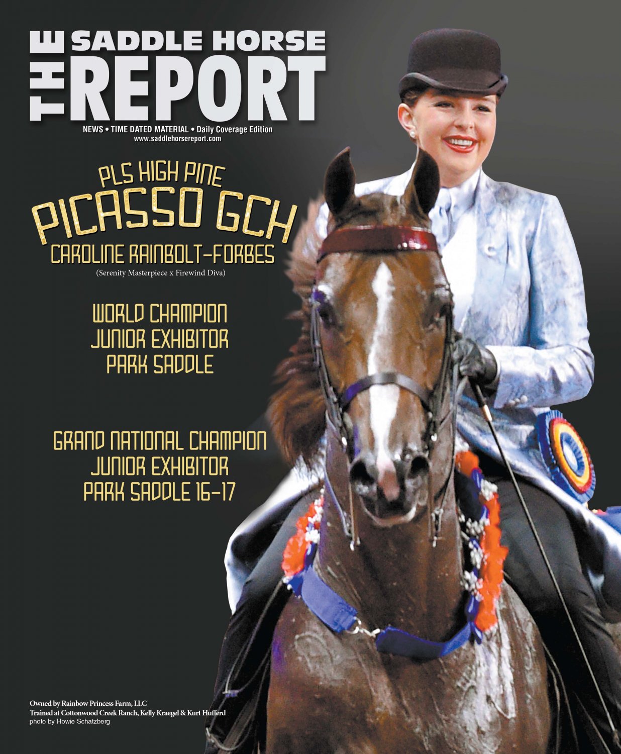Published Covers | SHR_11_07_16_MORG_INSERT.jpg