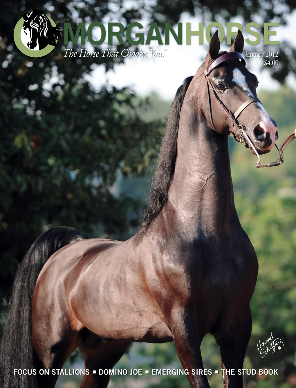 Published Covers | January12_Cover.jpg