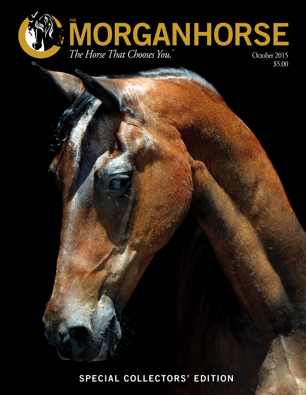 Published Covers | October15_Cover-Cabot_Gold.jpg