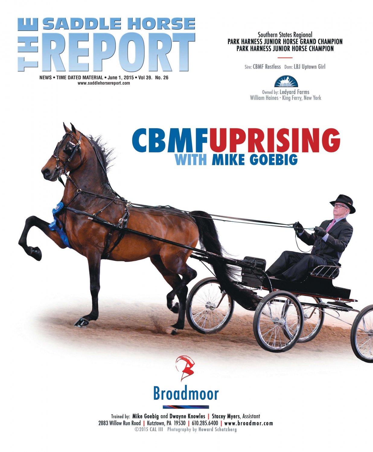 Published Covers | SHR_6_01_15.jpg