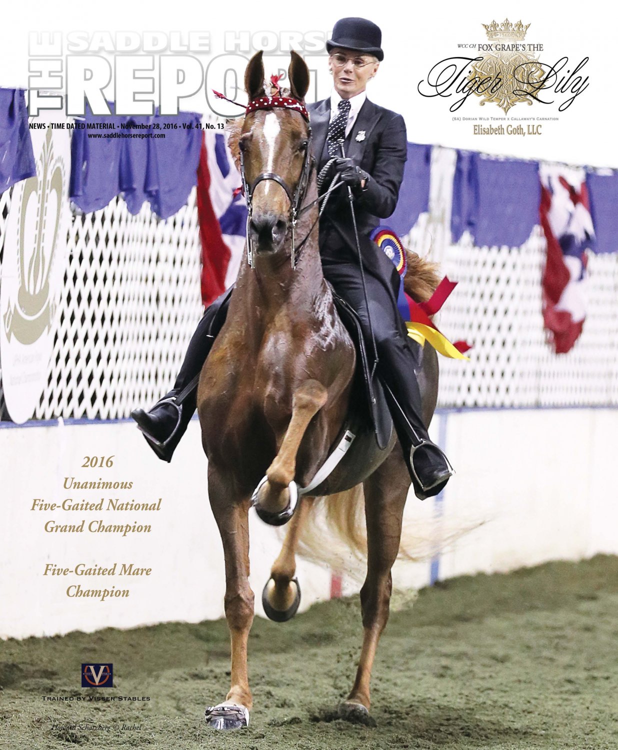 Published Covers | SHR_11_28_16.jpg