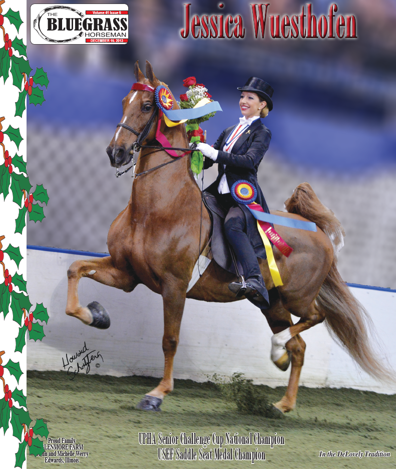 Published Covers | DEC_2013.png