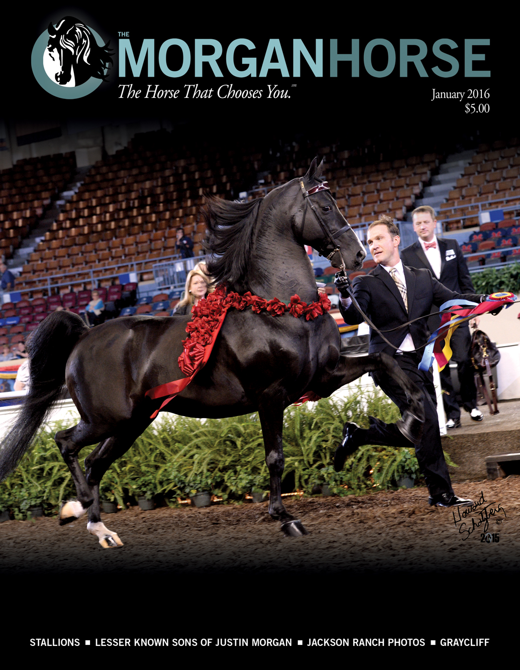 Published Covers | January16_Dragonsmeade_C1_2.jpg