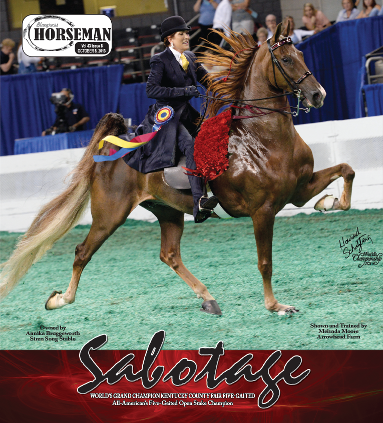 Published Covers | Oct_2015.png