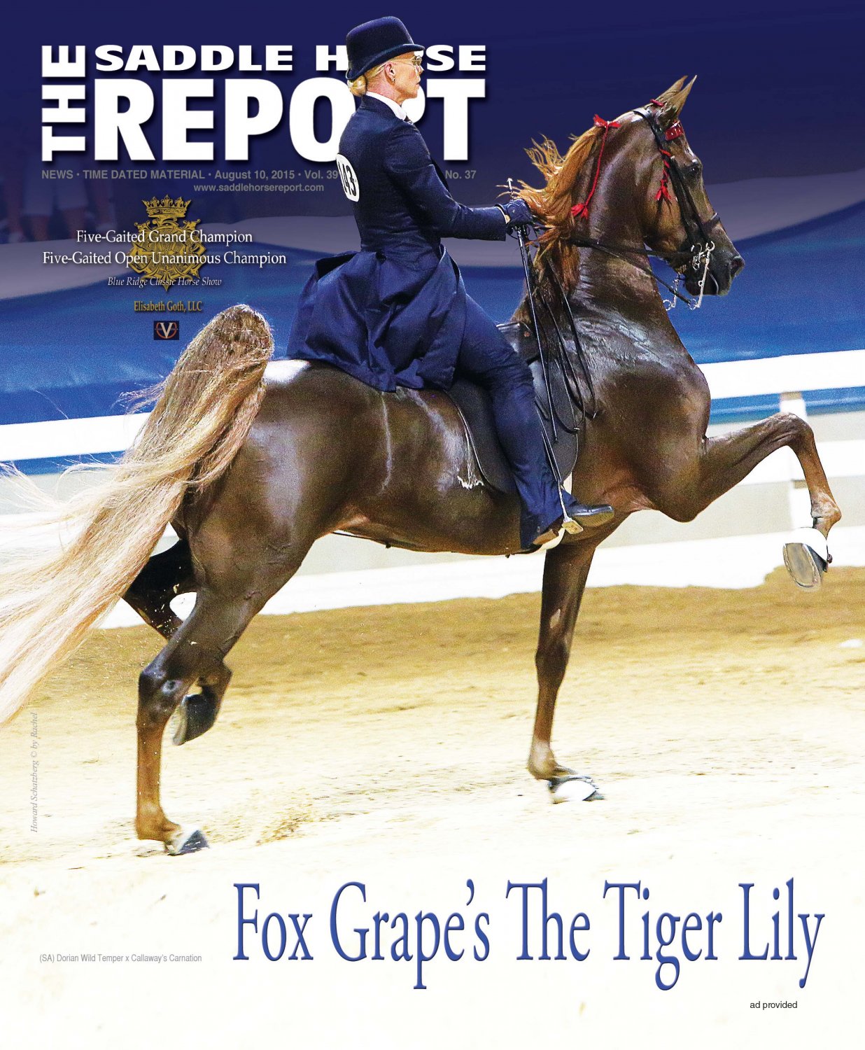 Published Covers | SHF_8_10_15.jpg