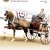 Published Covers | November11_Cover.jpg