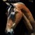 Published Covers | October15_Cover-Cabot_Gold.jpg