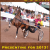 Published Covers | APR_2013.png