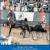 Published Covers | JULY_2010.png