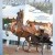 Published Covers | SHR_8_17_15.jpg