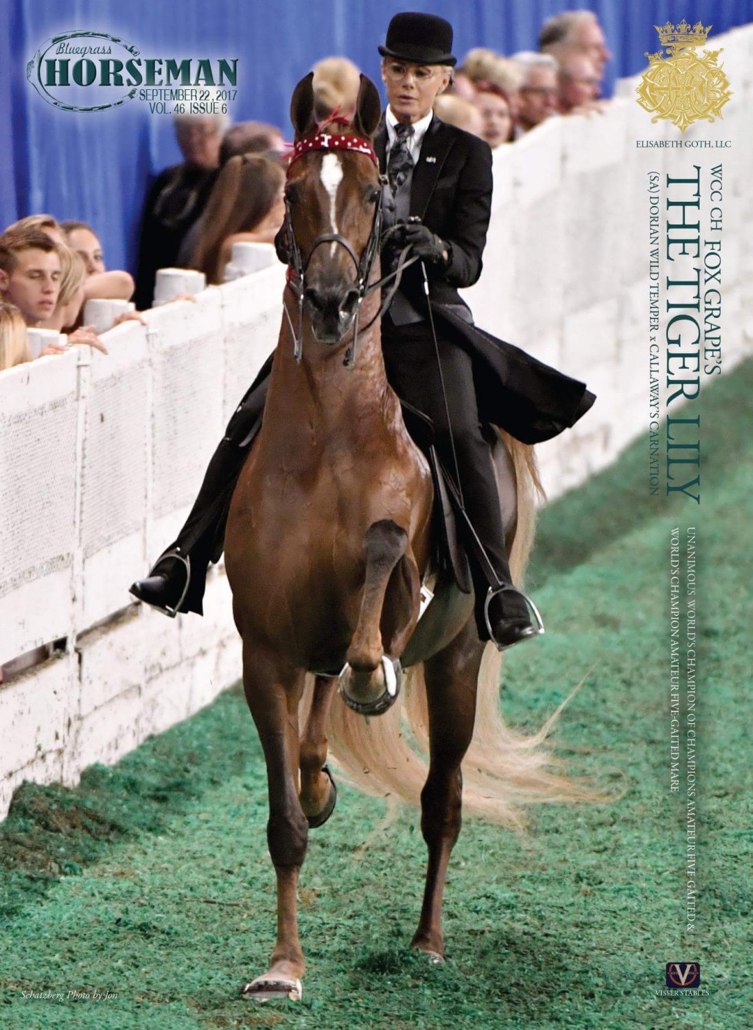 Published Covers | Attachment-1.jpeg