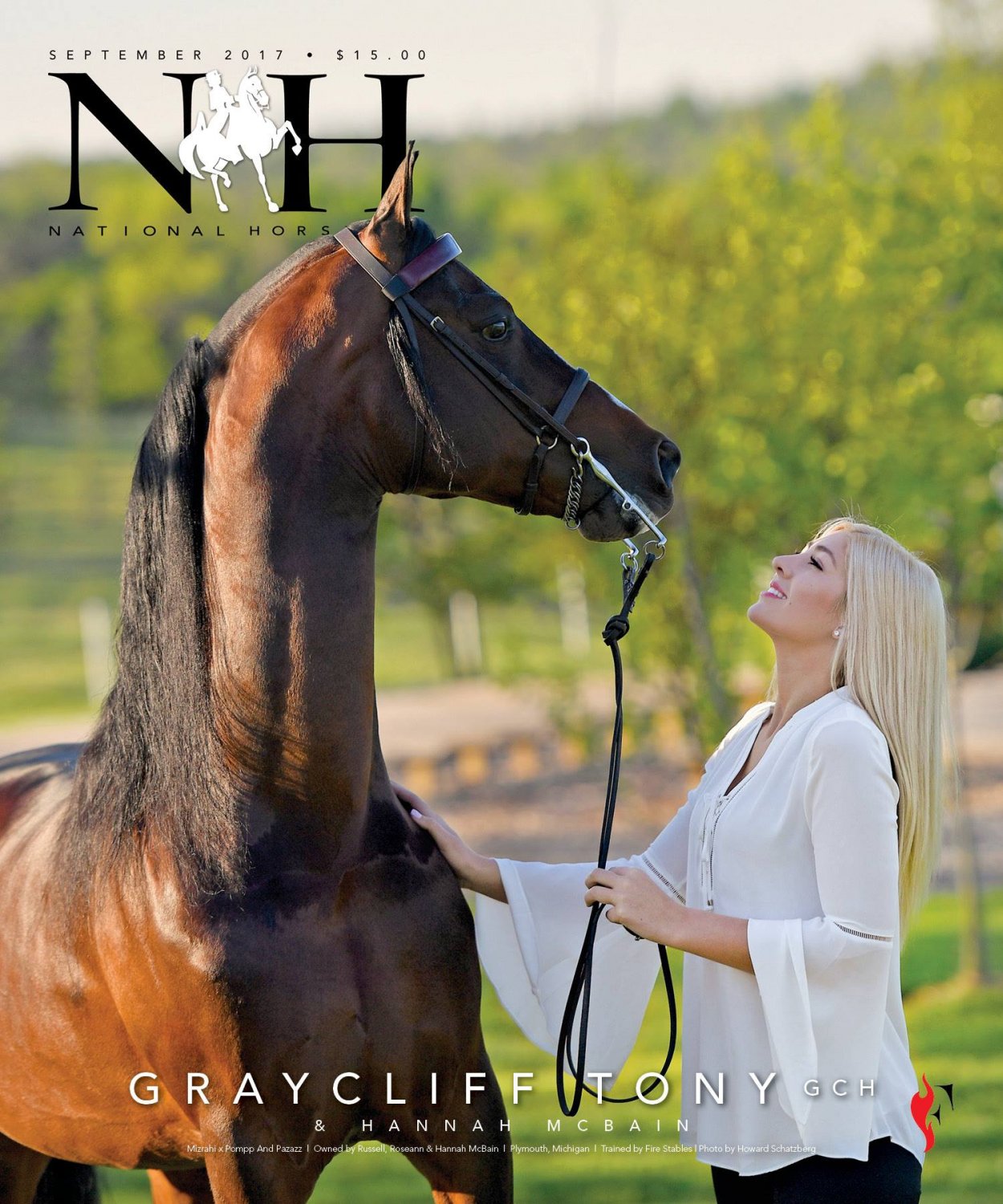 Published Covers | 22218403_1538422032938283_1395171442081597210_o.jpg