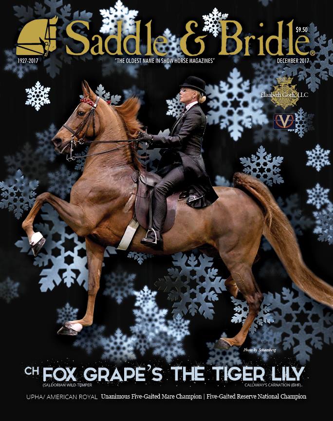 Published Covers | 25299199_843717872477839_6192980854107469530_n.jpg