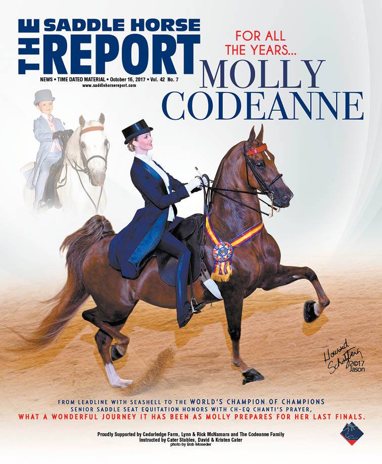 Published Covers | 22519091_1486878801389498_3759884190631317587_n.jpg