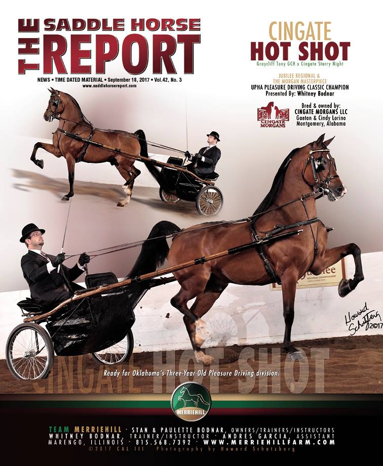 Published Covers | 21558010_1462503360493709_7105578820953666802_n.jpg