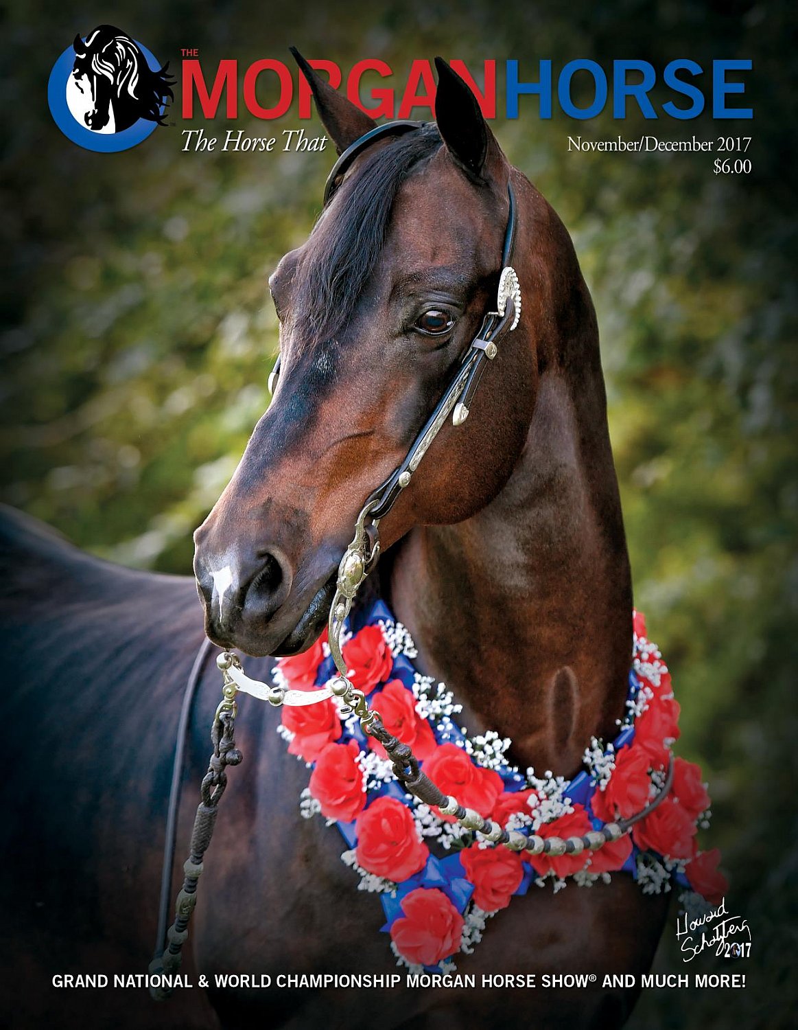 Published Covers | 23593496_1545544158834732_6444633914512389001_o.jpg
