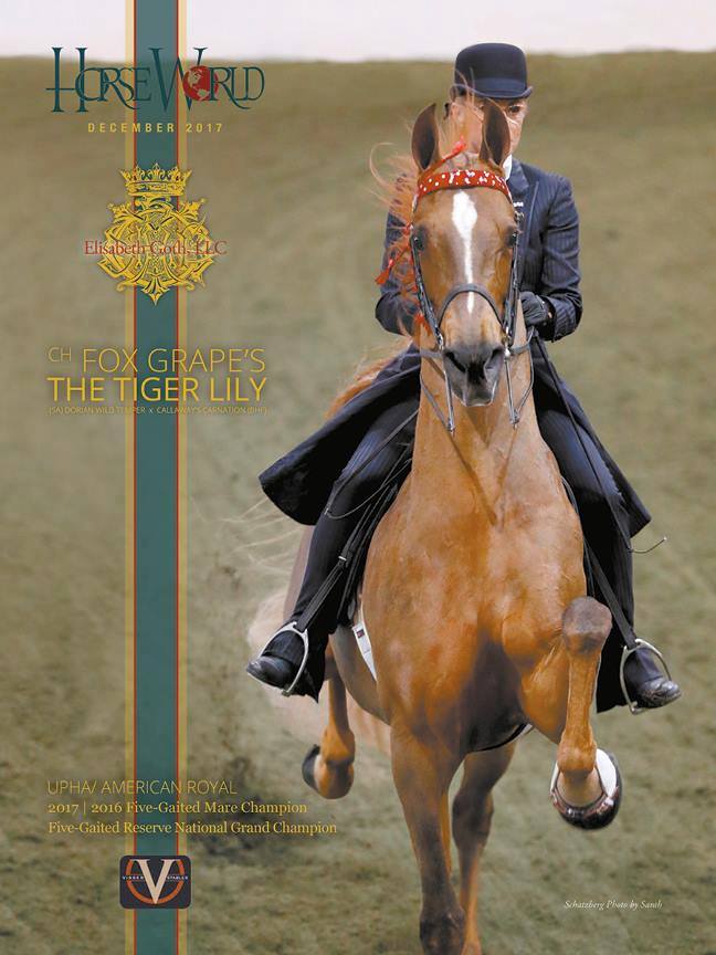 Published Covers | 24301209_839137859602507_7951489067327292766_n.jpg