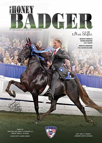 Published Covers | 19243413_1796494930372935_8785403784653776762_o.jpg