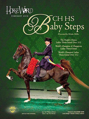 Published Covers | 27657706_1600705366673507_2347338148757461836_n.jpg
