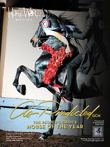 Published Covers | 28796128_1633118270098883_4494536602130841600_n.jpg