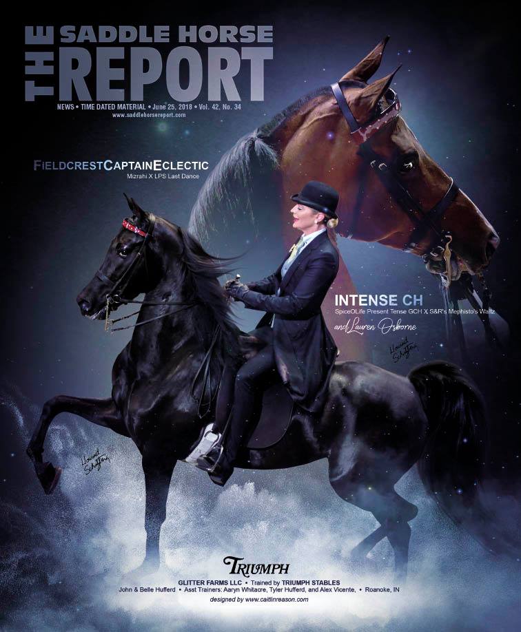 Published Covers | 36289731_1756959971048045_2699185923886678016_n.jpg
