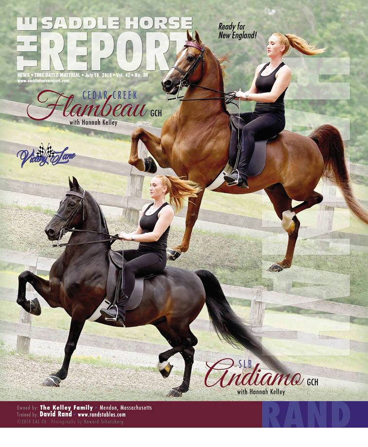 Published Covers | 37200295_1788939877850054_291578590921752576_n.jpg