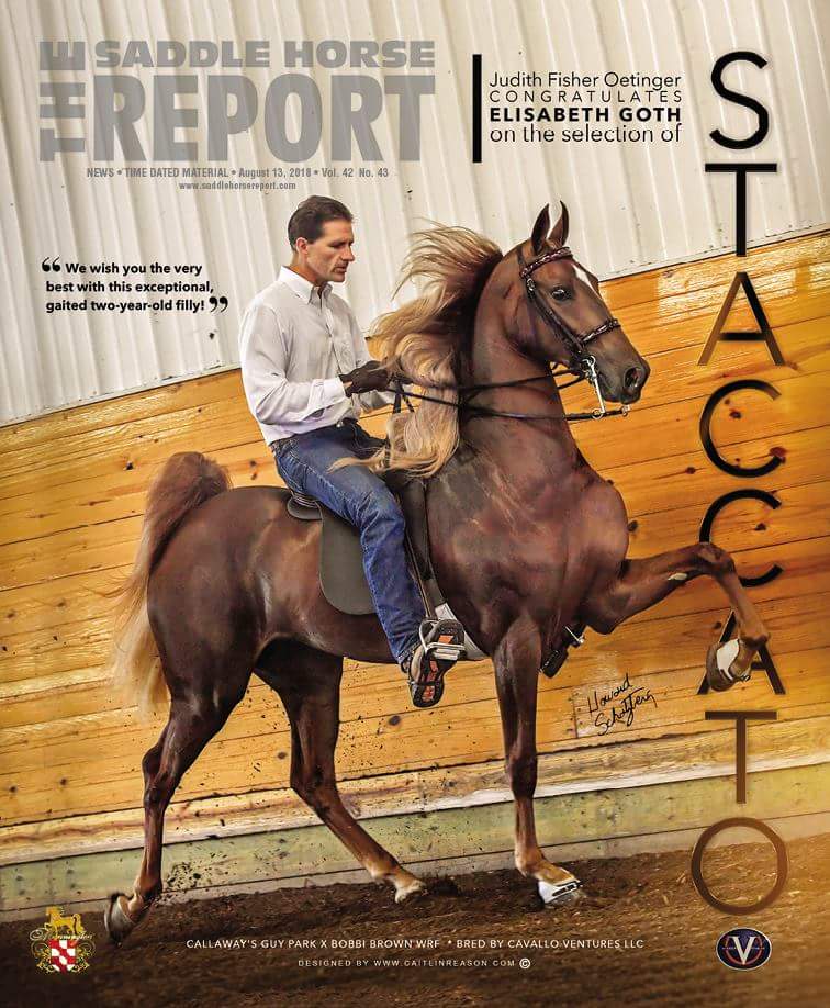 Published Covers | 39270459_1837186433025398_4422268408666521600_n.jpg