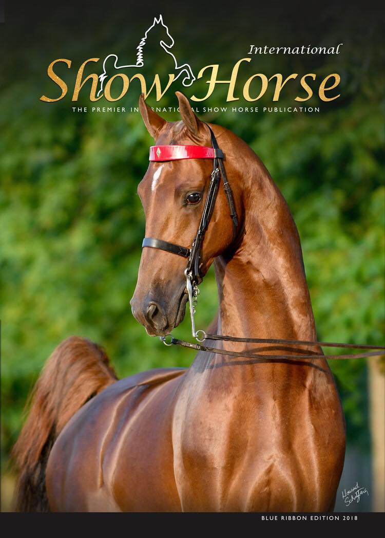 Published Covers | 39211589_10209421320608805_1918671064896897024_o.jpg