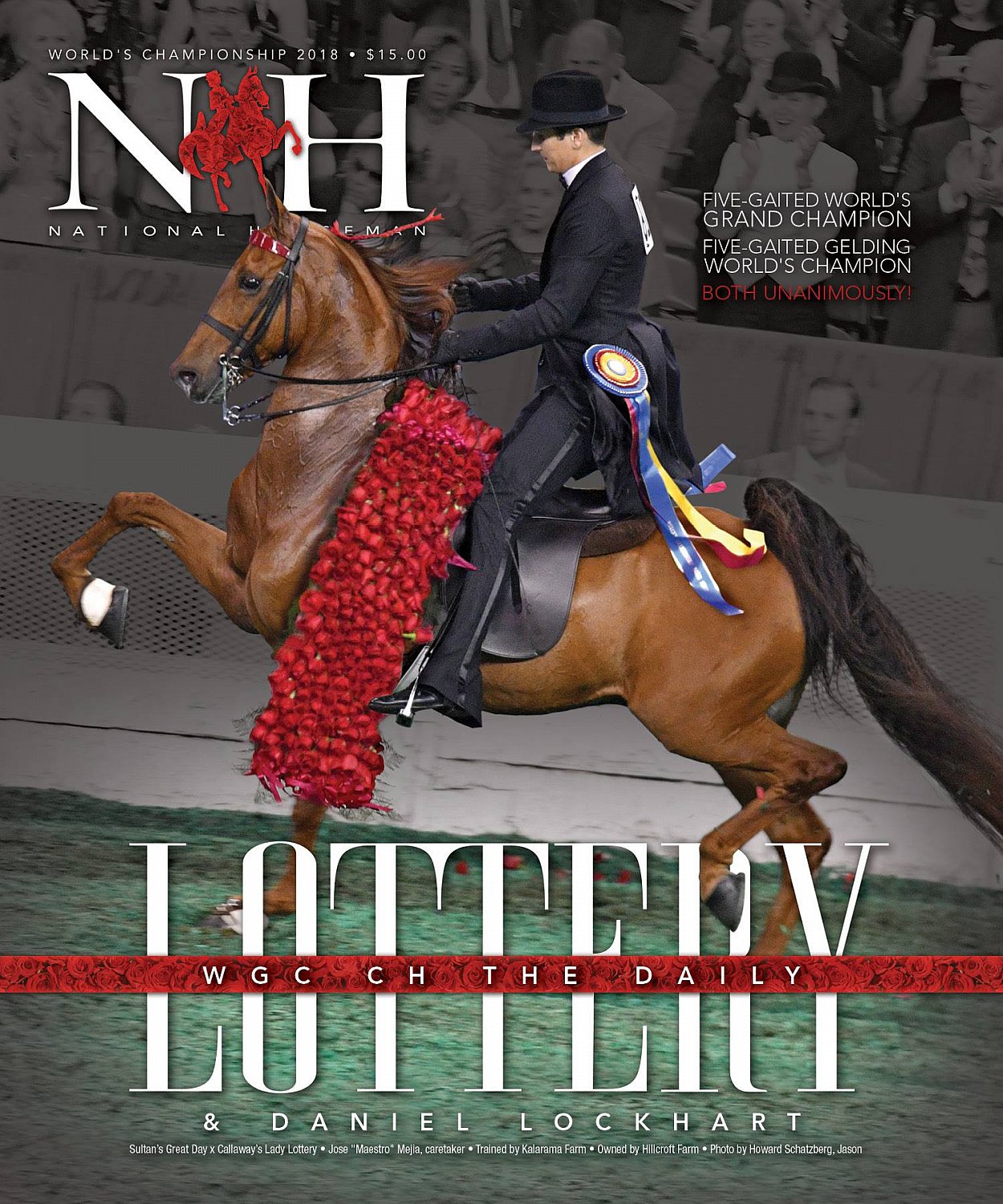 Published Covers | 41540273_1925473240899825_3408501074196168704_o.jpg