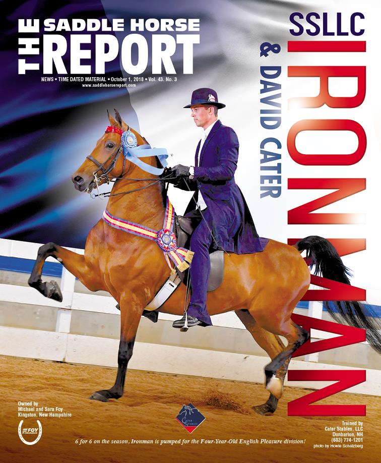 Published Covers | 43091911_1900496096694431_60231483192770560_n.jpg