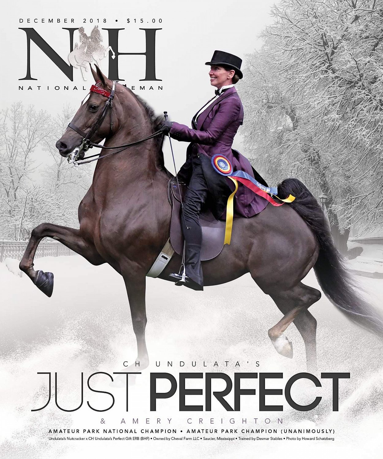 Published Covers | 2.jpeg