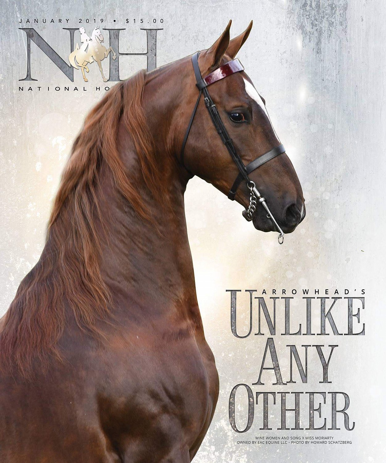 Published Covers | Attachment-1.jpeg