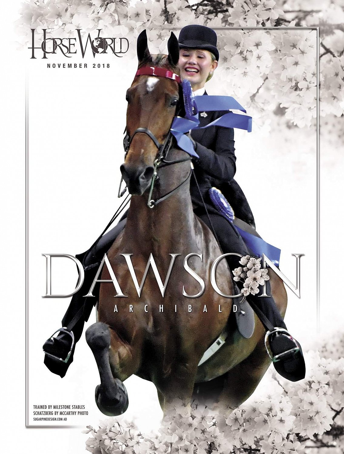 Published Covers | 8.jpeg