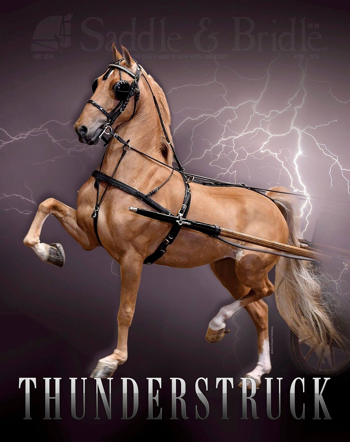 Published Covers | 30424914_2147712811925426_818874083223162214_o.jpg