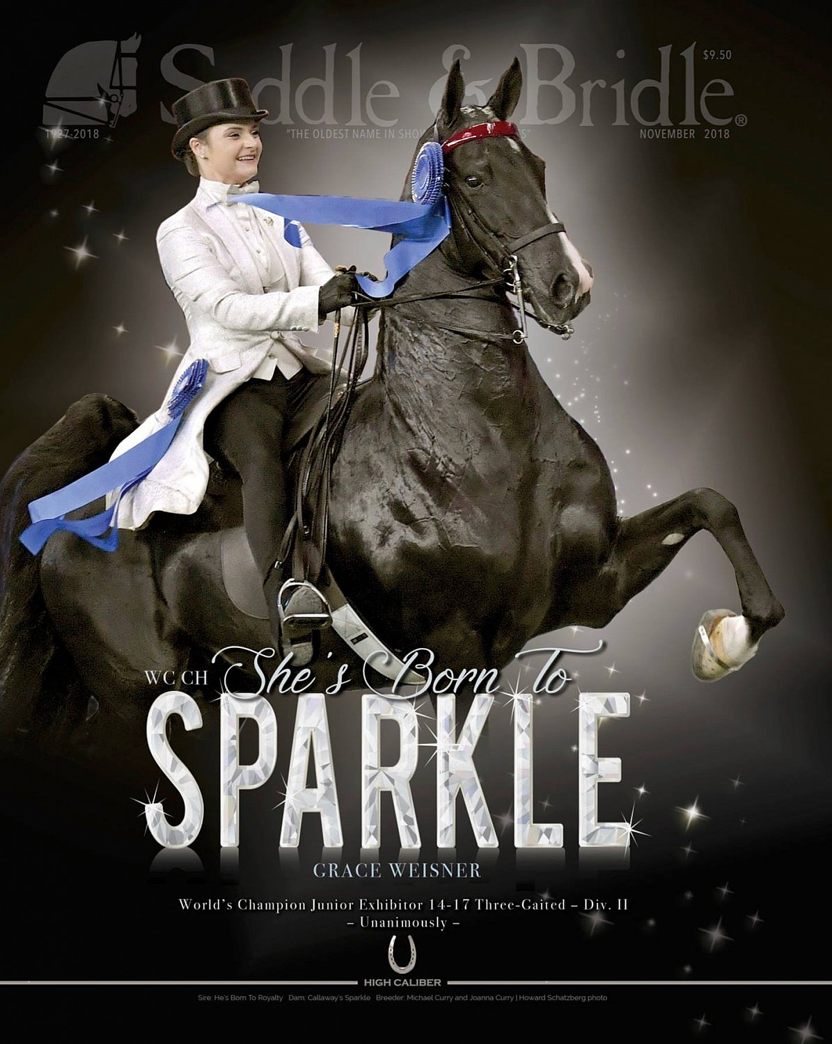 Published Covers | 45175814_2449992175030820_2851341423884632064_o.jpg