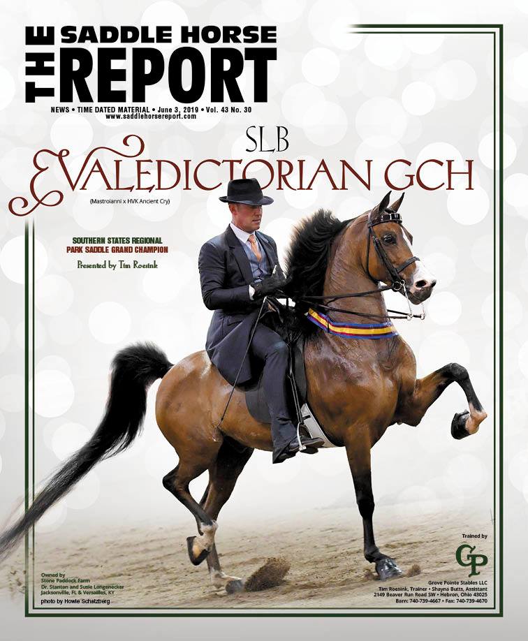 Published Covers | 61983615_2272609582816412_1230670737765826560_n.jpg