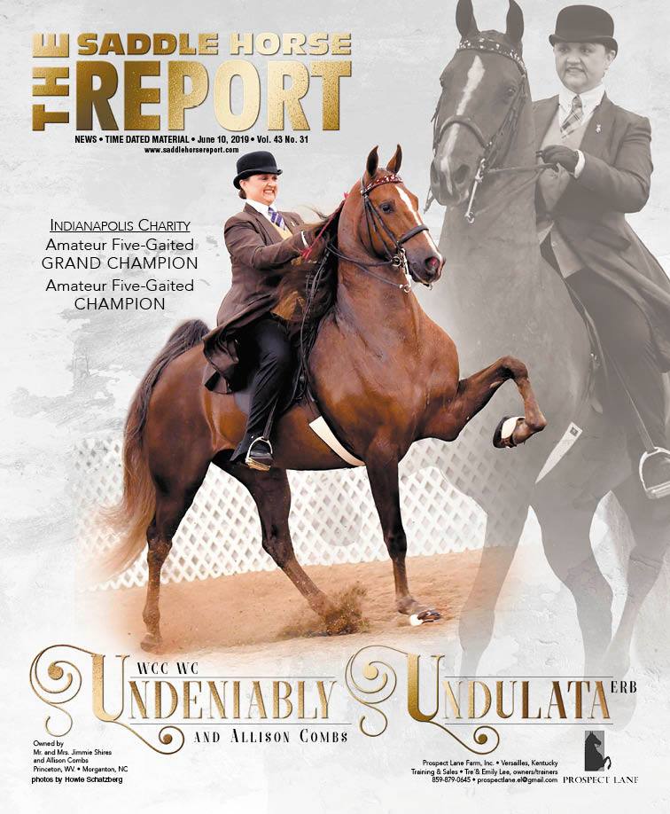 Published Covers | 62506266_2283962331681137_3151081341727014912_n.jpg