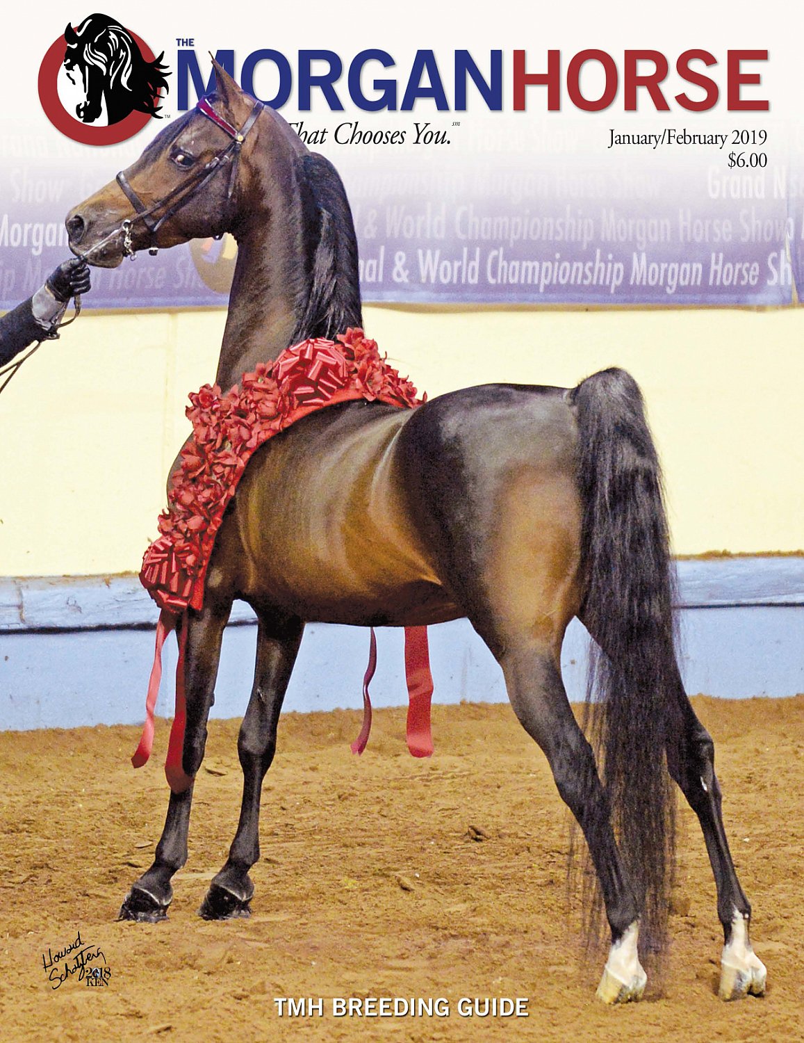 Published Covers | 933C1_CMYK.jpg