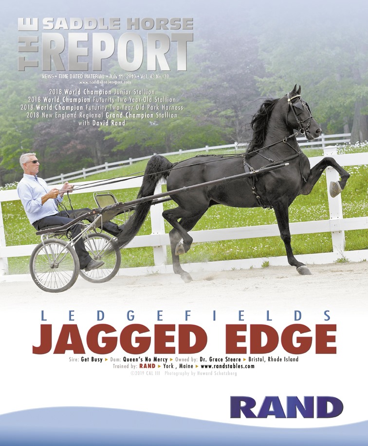 Published Covers | 66629000_2343237262420310_1889112064878706688_n.jpg
