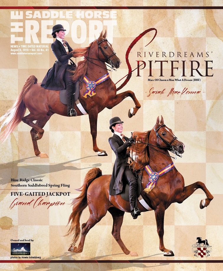 Published Covers | 68625552_2382173191860050_5436637017083478016_n.jpg