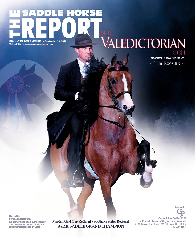 Published Covers | 71564745_2489205067823528_1875689093782831104_n.jpg