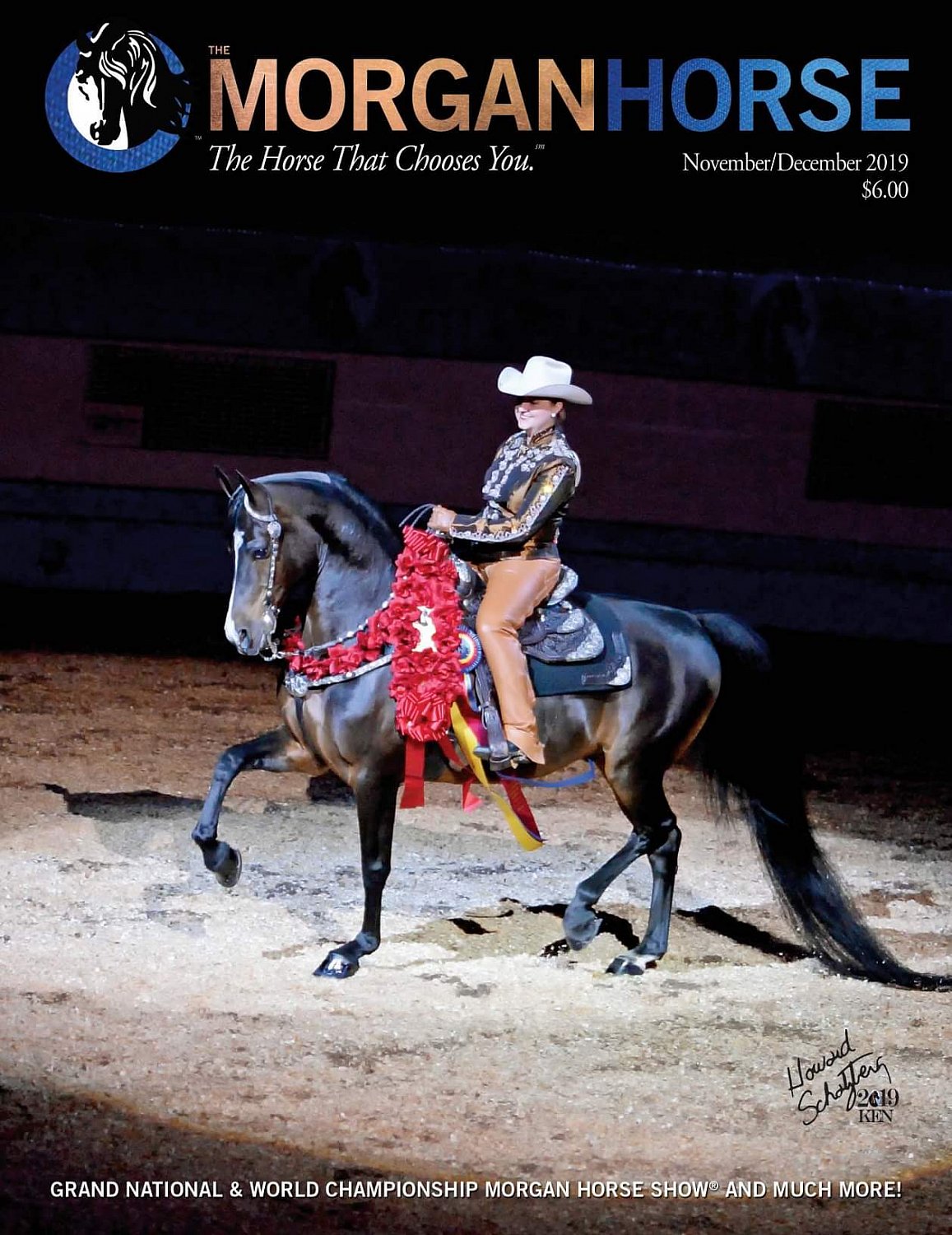 Published Covers | western.jpeg